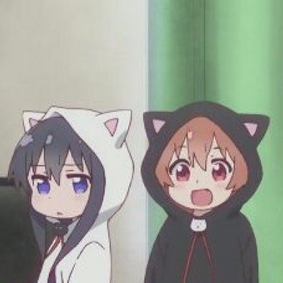 恋综 背调